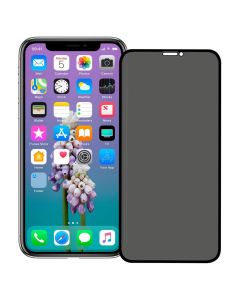 Buy Privacy Tempered Glass Screen Protector For iPhone X / XS